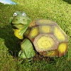 Черепаха-0