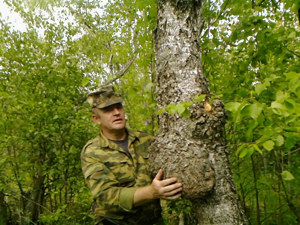 Дмитрий Карасёв - автор великолепной резьбы по дереву из капа