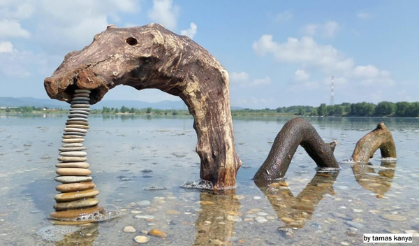 Tamas Kanya - скульптуры из коряг и обломков затопленных деревьев
