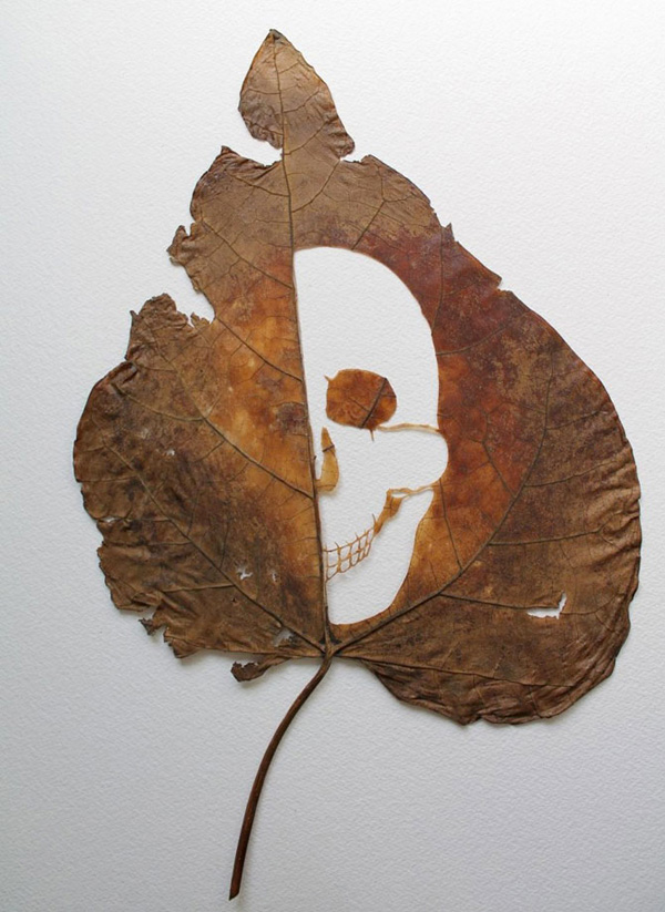Lorenzo Duran Silva – виртуозная резьба по листьям